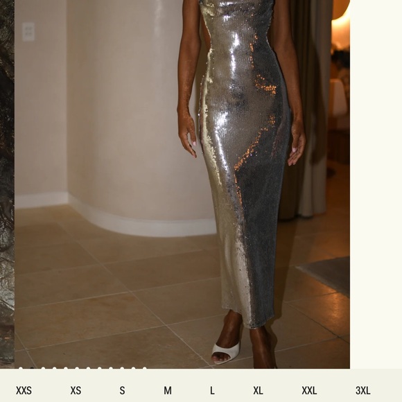 Meshki Metallic Silver Backless Dress - Picture 2 of 12